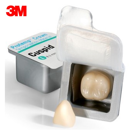 3M Protemp Crown Cuspid Temporization Material, Small